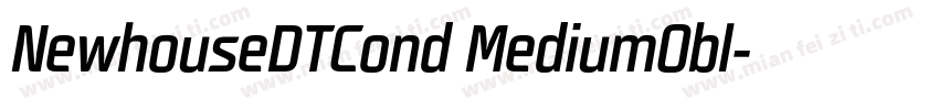NewhouseDTCond MediumObl字体转换